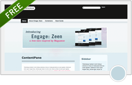 Engage: Zeen a free skin package for DotNetNuKe