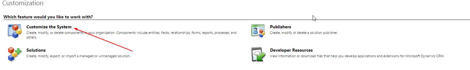 Dynamics CRM Customization Area